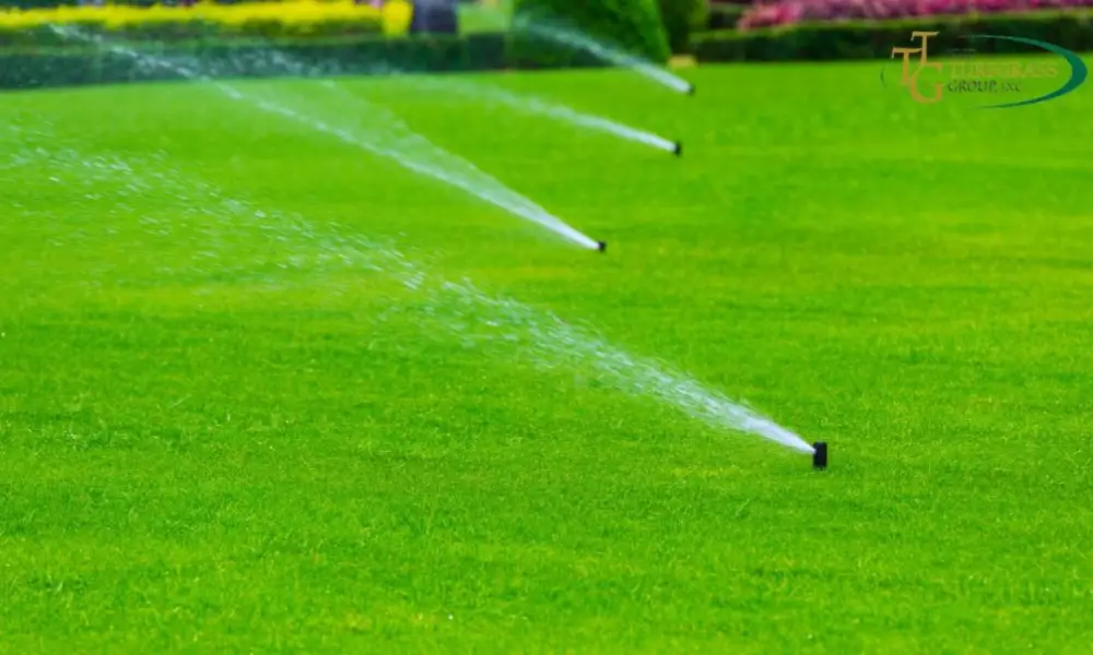 Water Conservation and Environmental Benefits