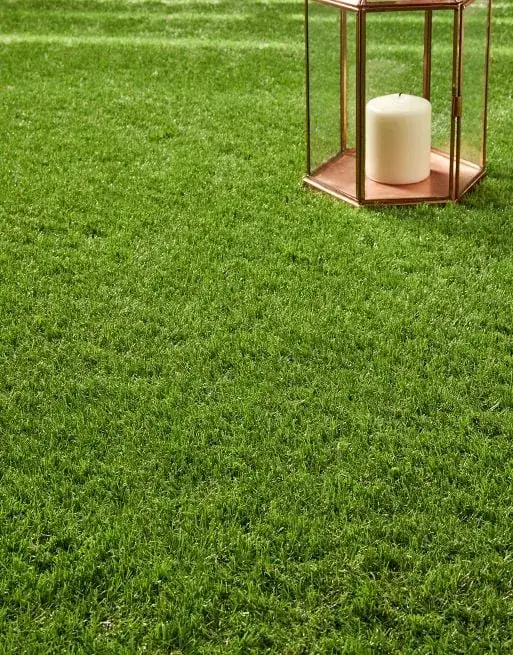 Porto Artificial Grass 1