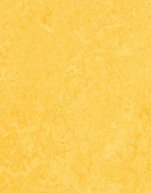 Lemon Zest Marmoleum Click Cinch Loc Seal 1